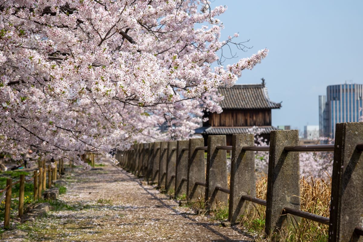 Fukuoka Castle Park