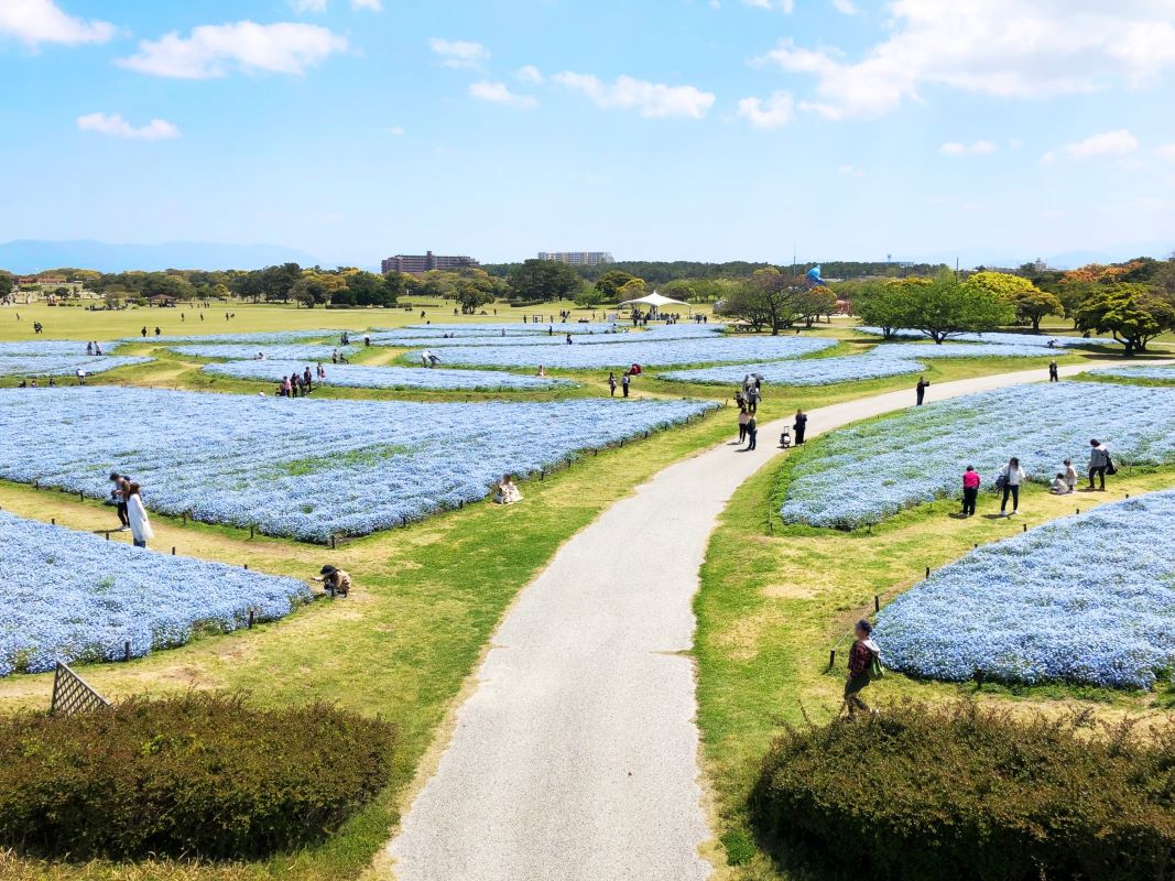 Fukuoka Uminonakamichi Seaside Park