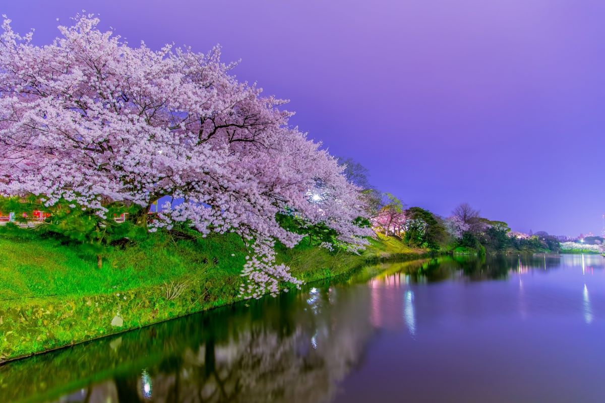 Ohori Park Fukuoka